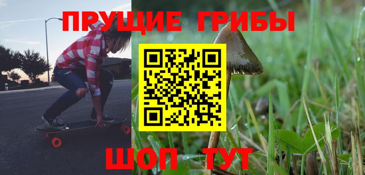 Псилоцибиновые грибы Psilocybe  Вход с VPN  Партизанск 