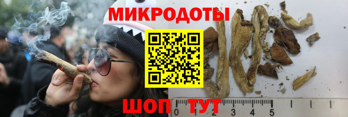 Псилоцибиновые грибы мухоморы Партизанск